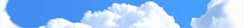 Header Graphic
